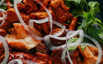 Champiñones y Setas al Pastor